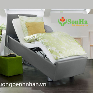 Giường Dưỡng Lão Malsch Ambiente 100