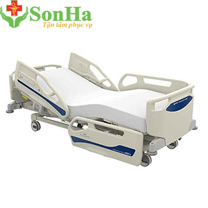 Giường Paramount Bed A6 Series