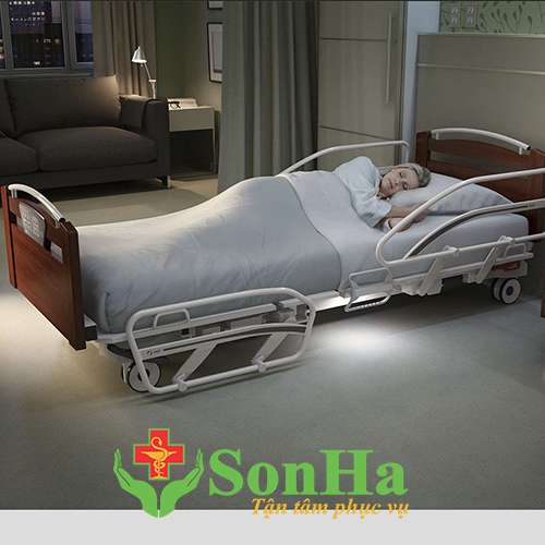 Giường y tế cho người già người bệnh chính hãng